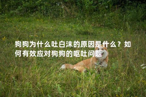 狗狗为什么吐白沫的原因是什么？如何有效应对狗狗的呕吐问题
