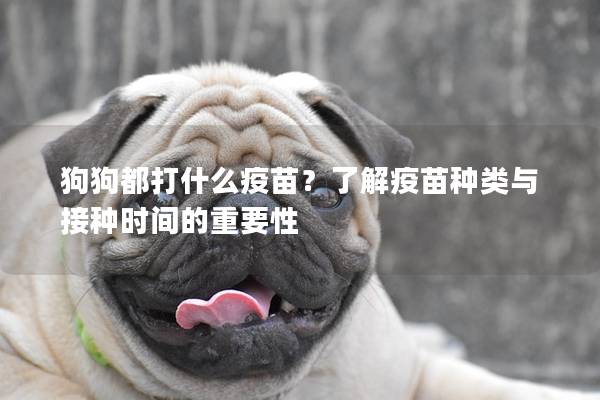 狗狗都打什么疫苗？了解疫苗种类与接种时间的重要性