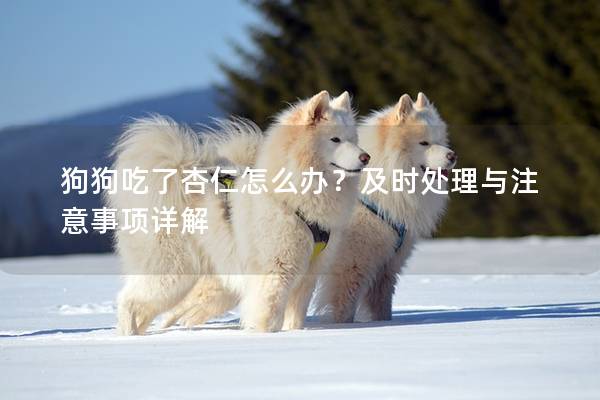 狗狗吃了杏仁怎么办?及时处理与注意事项详解 狗狗吃了杏仁怎么办?及时处理与注意事项详解