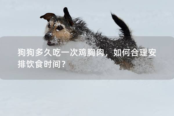 狗狗多久吃一次鸡胸肉，如何合理安排饮食时间？