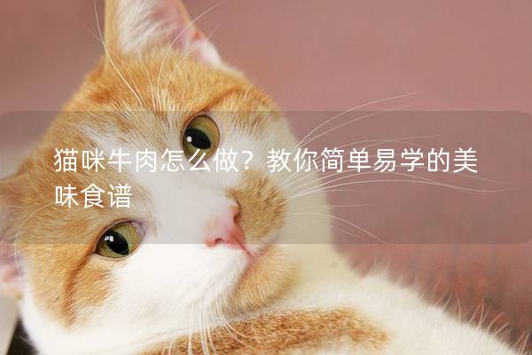 猫咪牛肉怎么做？教你简单易学的美味食谱