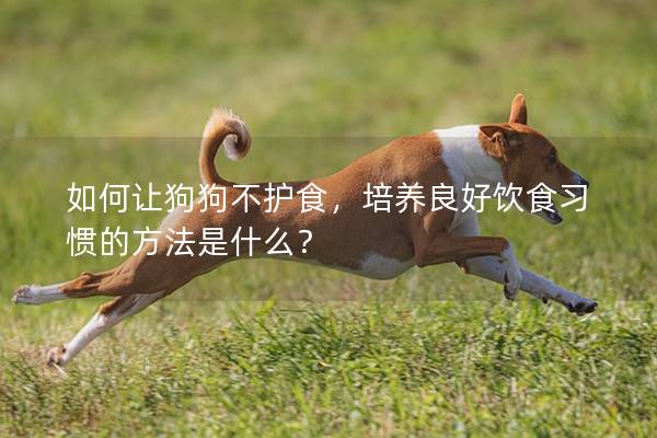 如何让狗狗不护食，培养良好饮食习惯的方法是什么？