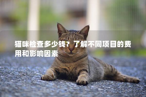猫咪检查多少钱？了解不同项目的费用和影响因素