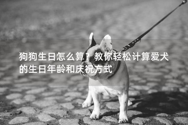 狗狗生日怎么算？教你轻松计算爱犬的生日年龄和庆祝方式