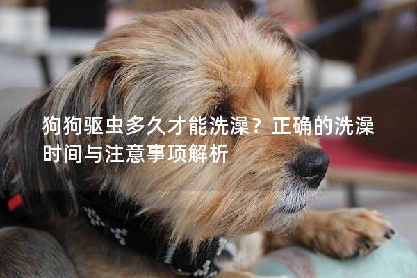 狗狗驱虫多久才能洗澡？正确的洗澡时间与注意事项解析