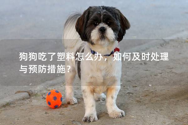 狗狗吃了塑料怎么办，如何及时处理与预防措施？