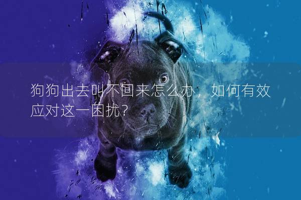狗狗出去叫不回来怎么办，如何有效应对这一困扰？
