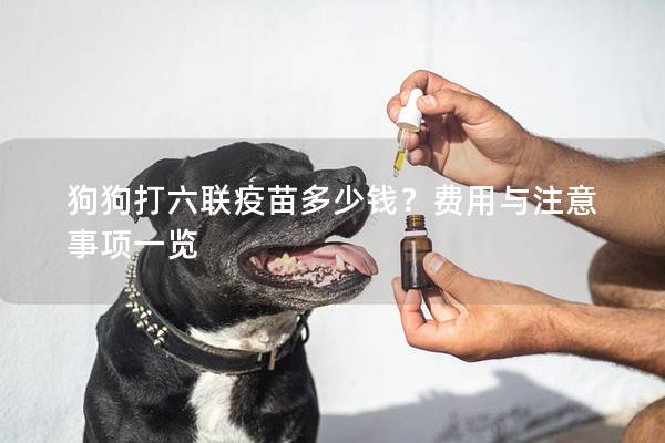 狗狗打六联疫苗多少钱?费用与注意事项一览 狗狗打六联疫苗多少钱?费用与注意事项一览