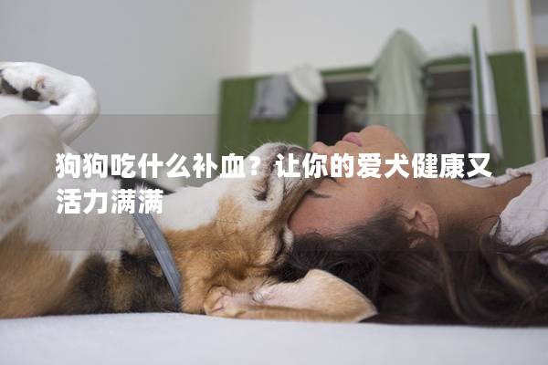 狗狗吃什么补血？让你的爱犬健康又活力满满