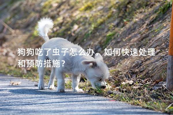 狗狗吃了虫子怎么办，如何快速处理和预防措施？