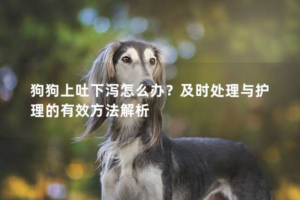 狗狗上吐下泻怎么办？及时处理与护理的有效方法解析