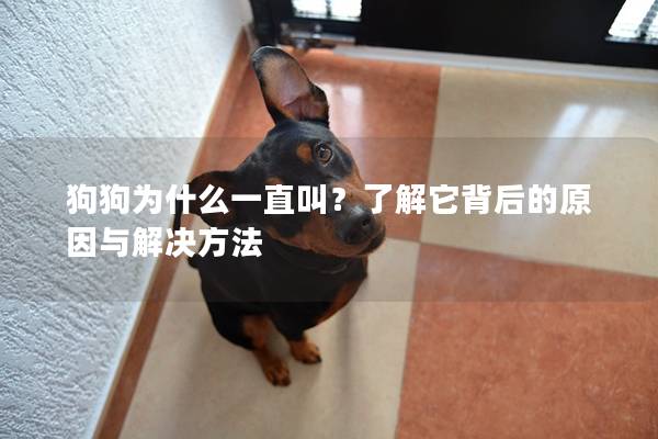 狗狗为什么一直叫？了解它背后的原因与解决方法