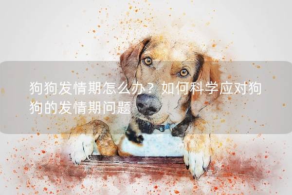 狗狗发情期怎么办？如何科学应对狗狗的发情期问题