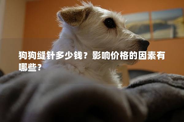 狗狗缝针多少钱？影响价格的因素有哪些？