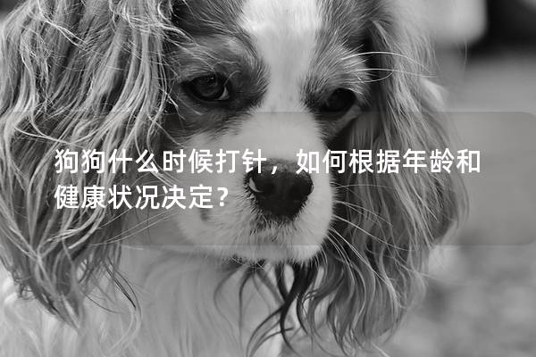 狗狗什么时候打针，如何根据年龄和健康状况决定？