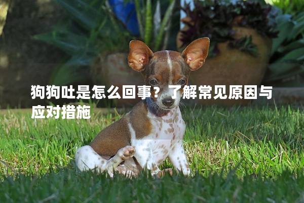 狗狗吐是怎么回事？了解常见原因与应对措施