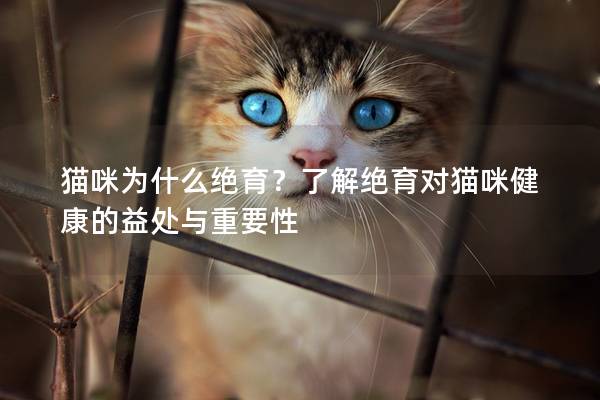 猫咪为什么绝育？了解绝育对猫咪健康的益处与重要性
