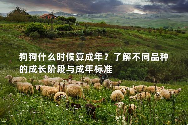 狗狗什么时候算成年？了解不同品种的成长阶段与成年标准