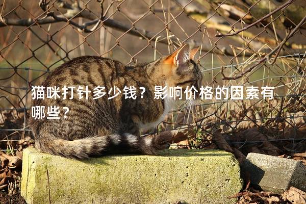 猫咪打针多少钱？影响价格的因素有哪些？