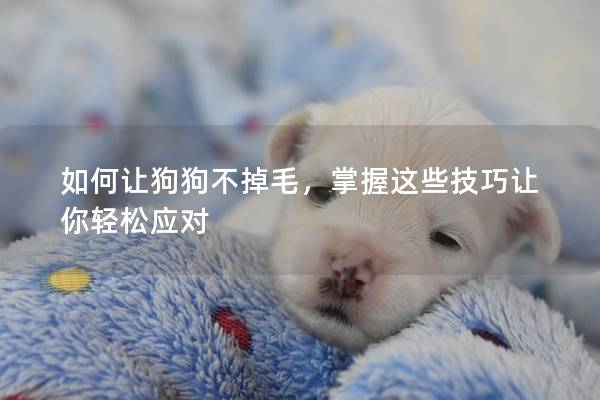 如何让狗狗不掉毛，掌握这些技巧让你轻松应对
