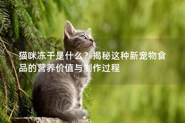 猫咪冻干是什么？揭秘这种新宠物食品的营养价值与制作过程