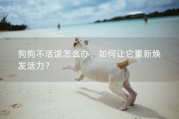 狗狗不活泼怎么办，如何让它重新焕发活力？
