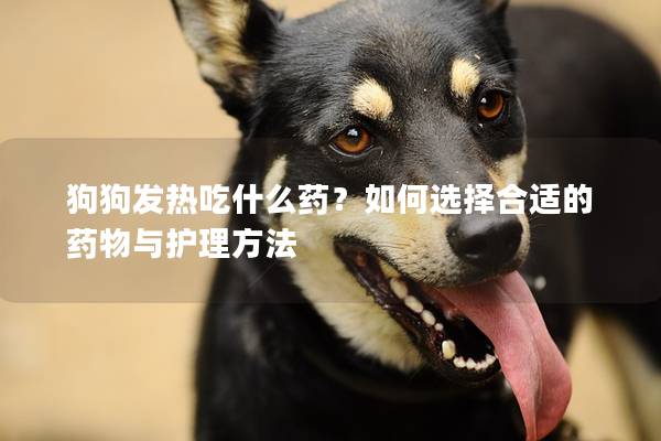 狗狗发热吃什么药？如何选择合适的药物与护理方法