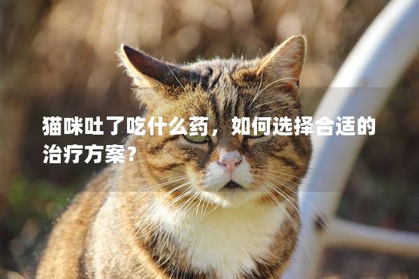 猫咪吐了吃什么药，如何选择合适的治疗方案？