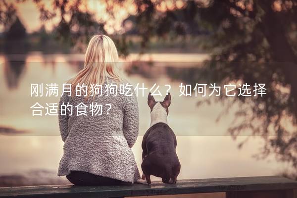 刚满月的狗狗吃什么？如何为它选择合适的食物？