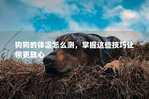 狗狗的体温怎么测，掌握这些技巧让你更放心