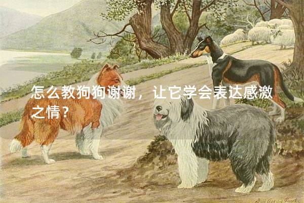 怎么教狗狗谢谢,让它学会表达感激之情? 怎么教狗狗谢谢,让它学会表达感激之情?