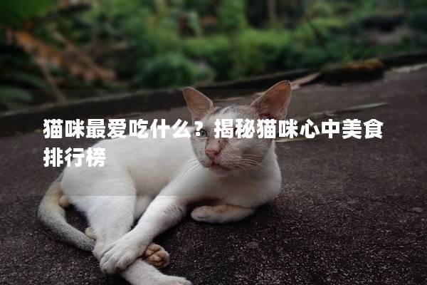 猫咪最爱吃什么？揭秘猫咪心中美食排行榜