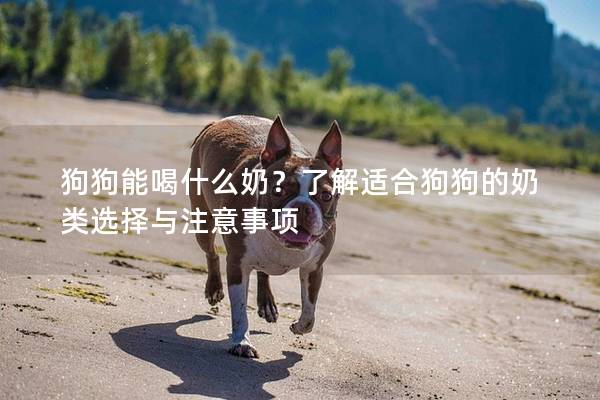 狗狗能喝什么奶?了解适合狗狗的奶类选择与注意事项 狗狗能喝什么奶?了解适合狗狗的奶类选择与注意事项