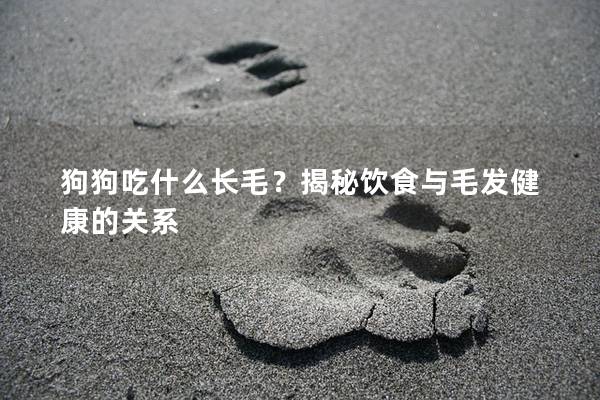 狗狗吃什么长毛?揭秘饮食与毛发健康的关系 狗狗吃什么长毛?揭秘饮食与毛发健康的关系