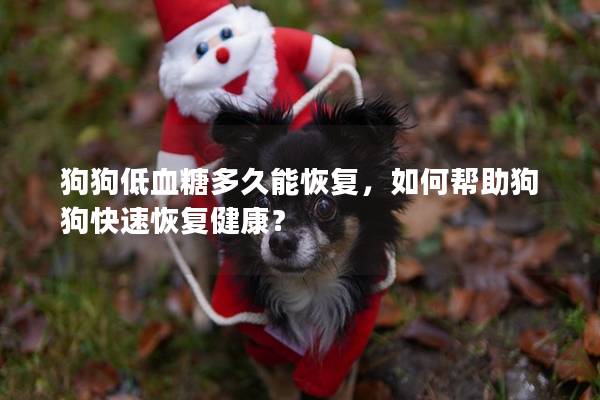 狗狗低血糖多久能恢复，如何帮助狗狗快速恢复健康？