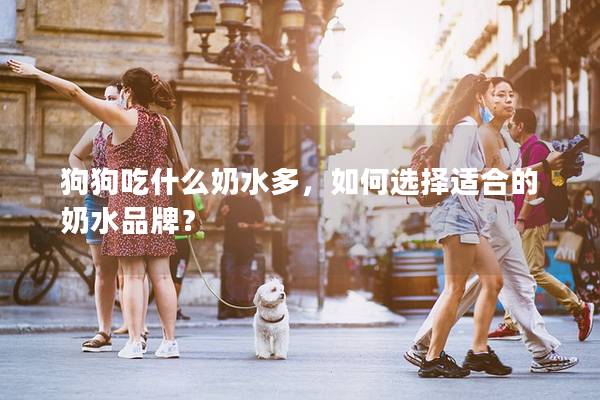 狗狗吃什么奶水多，如何选择适合的奶水品牌？