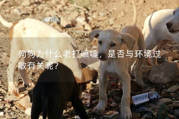 狗狗为什么老打喷嚏，是否与环境过敏有关呢？