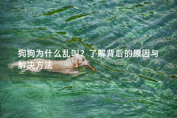 狗狗为什么乱叫？了解背后的原因与解决方法