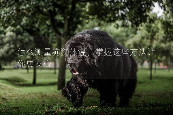 怎么测量狗狗体温，掌握这些方法让你更安心