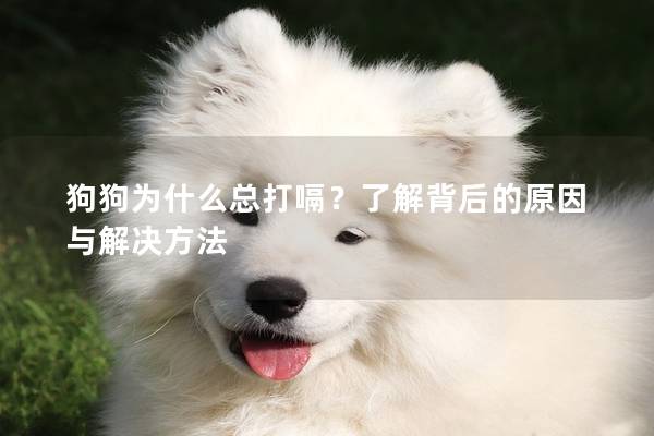 狗狗为什么总打嗝？了解背后的原因与解决方法