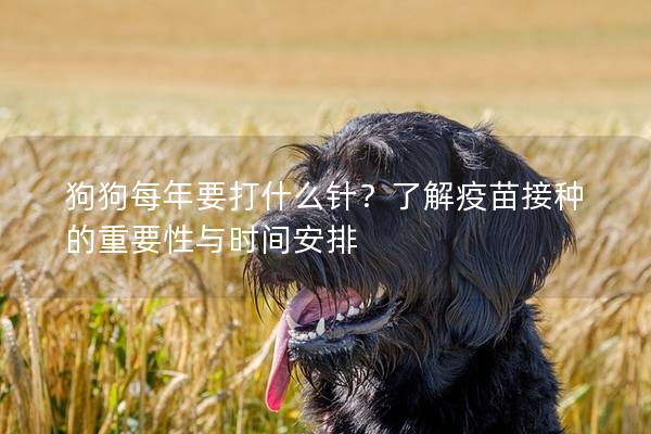 狗狗每年要打什么针？了解疫苗接种的重要性与时间安排
