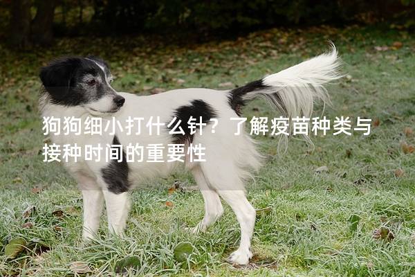 狗狗细小打什么针？了解疫苗种类与接种时间的重要性
