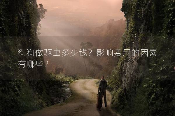 狗狗做驱虫多少钱？影响费用的因素有哪些？