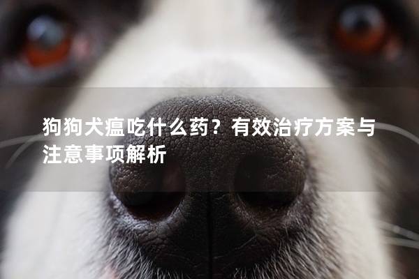 狗狗犬瘟吃什么药？有效治疗方案与注意事项解析