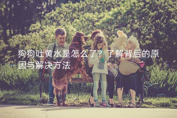 狗狗吐黄水是怎么了？了解背后的原因与解决方法