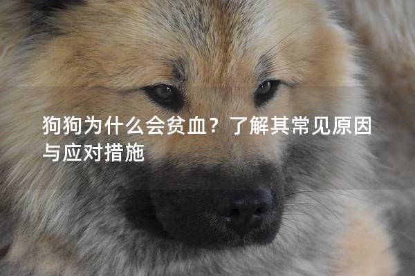狗狗为什么会贫血？了解其常见原因与应对措施