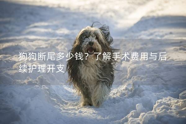 狗狗断尾多少钱？了解手术费用与后续护理开支