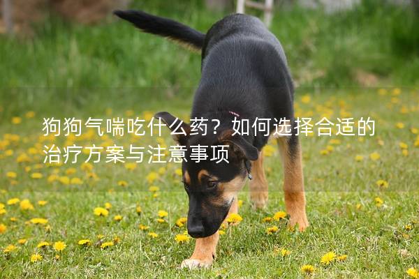 狗狗气喘吃什么药？如何选择合适的治疗方案与注意事项