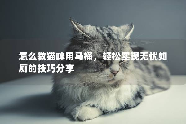 怎么教猫咪用马桶，轻松实现无忧如厕的技巧分享