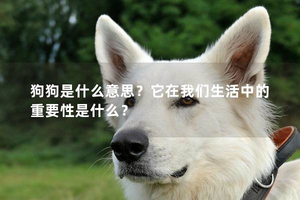 狗狗是什么意思?它在我们生活中的重要性是什么? 狗狗是什么意思?它在我们生活中的重要性是什么?